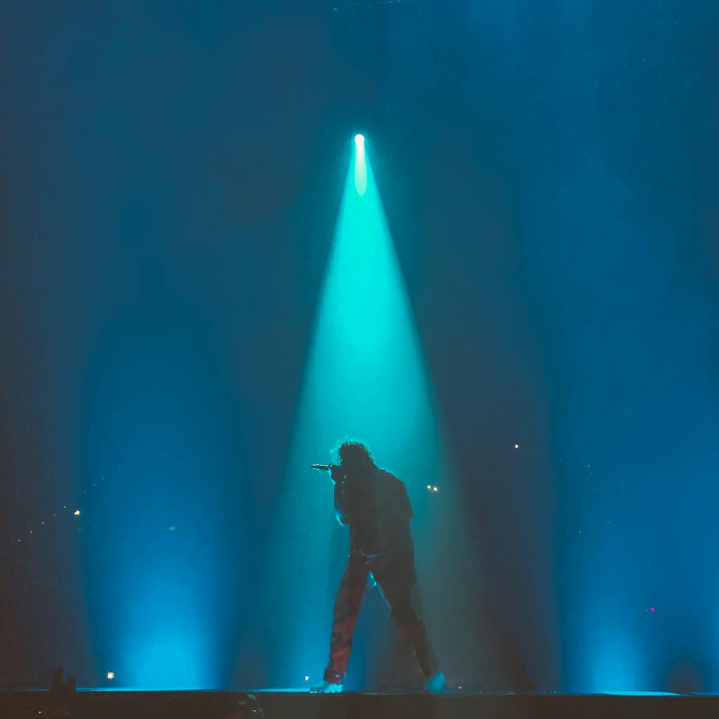 An energetic live music performance with a singer illuminated by vibrant stage lights.